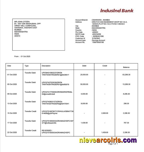 India IndusInd Bank account statement Word and PDF